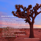 Sept 26-28th Desert Dreams Wellness Retreat Joshua Tree