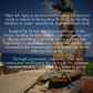 April 2027 Hijas Del Agua 4 Day/5 Night Retreat