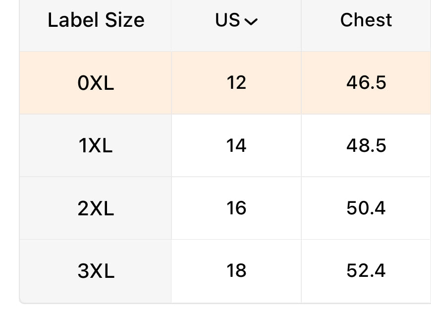 Fiesta Fringe Dress PREORDER